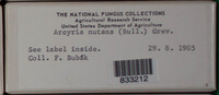 Image Associated With the Occurence